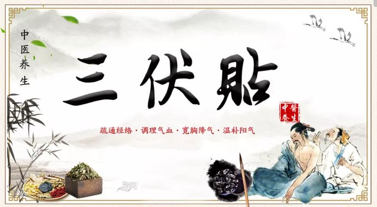 三伏贴